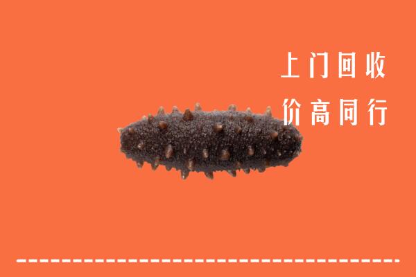 鄱阳县回收海参
