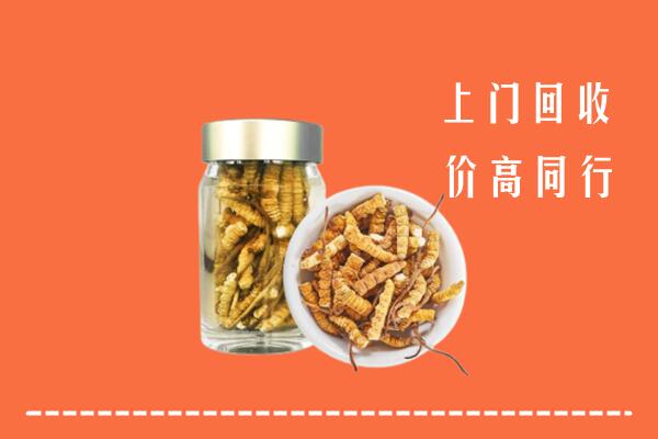 鄱阳县回收冬虫夏草