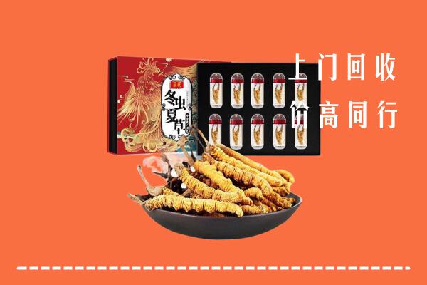 鄱阳县回收虫草